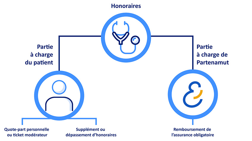 Schéma qui reprend les informations données sur les honoraires.